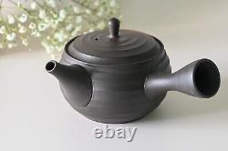 Teapot with Filters (270ml) + Two Cups Set Japanese Tea Set, Gift for Her