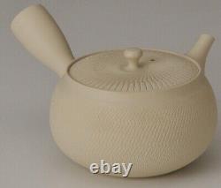Tokoname ware Japanese Tea pot 250cc Tosen White Tea Utensils Set Handmade Japan