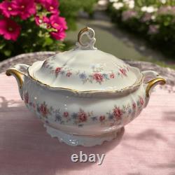 VTG Edelstein Bavaria Maria Theresa Tea Pot Set and Soup Terrine