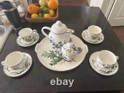 Villeroy & Boch Botanic Teapot Set with 4 cups & saucers, more