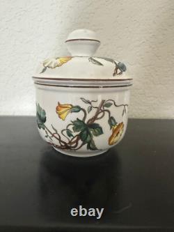 Villeroy & Boch Botanic Teapot Set with 4 cups & saucers, more