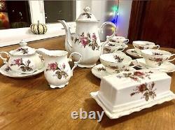 Vintage 50s Old MOSS ROSE Demitasse Porcelain Teapot Set 18 Pc Royal Sealy JAPAN