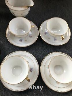 Vintage Chastagner & Cie Limoges France Coffee Tea Pot Set 20 Pieces Floral