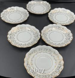 Vintage Haus Dresden Fine China Tea West Germany 23 Piece Set
