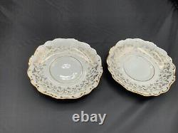 Vintage Haus Dresden Fine China Tea West Germany 23 Piece Set