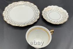 Vintage Haus Dresden Fine China Tea West Germany 23 Piece Set