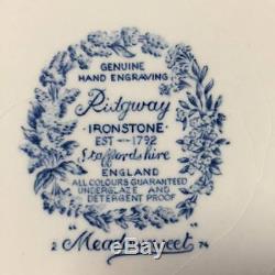 Vtg Ridgeway Meadowsweet Ironstone 27 piece Tea Set with Plates