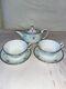 Wedgwood Meadow Field Teapot Tea Pot / Cup Saucer Pair Set