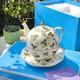 Wedgwood Wild Strawberry Series Teapot And Teacup Saucer Set Afternoon Tea New