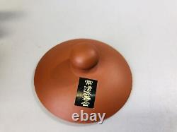 Y7297 TEA POT Tokoname-ware cup set signed box Japan Tea Ceremony antique teapot