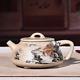 Yixing Zisha Qinghui Clay Pottery Handmade Painted Patterns Tea Pot Shipiao Pot