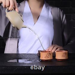 Yixing zisha qinghui clay Pottery handmade painted patterns tea pot shipiao pot