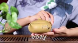 Yixing zishaduan clay Handmade Bird Flower xishi infuser Teapot tea pot Set