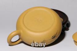 Yixing zishaduan clay Handmade Bird Flower xishi infuser Teapot tea pot Set
