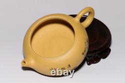 Yixing zishaduan clay Handmade Bird Flower xishi infuser Teapot tea pot Set