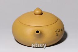 Yixing zishaduan clay Handmade Bird Flower xishi infuser Teapot tea pot Set
