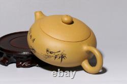 Yixing zishaduan clay Handmade Bird Flower xishi infuser Teapot tea pot Set